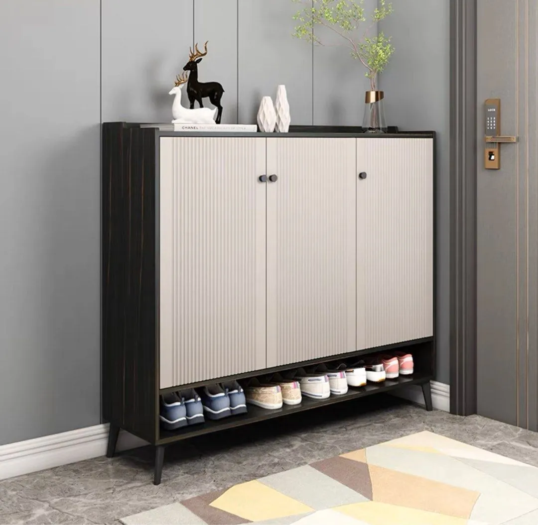 ALEX Modern Shoe Cabinet