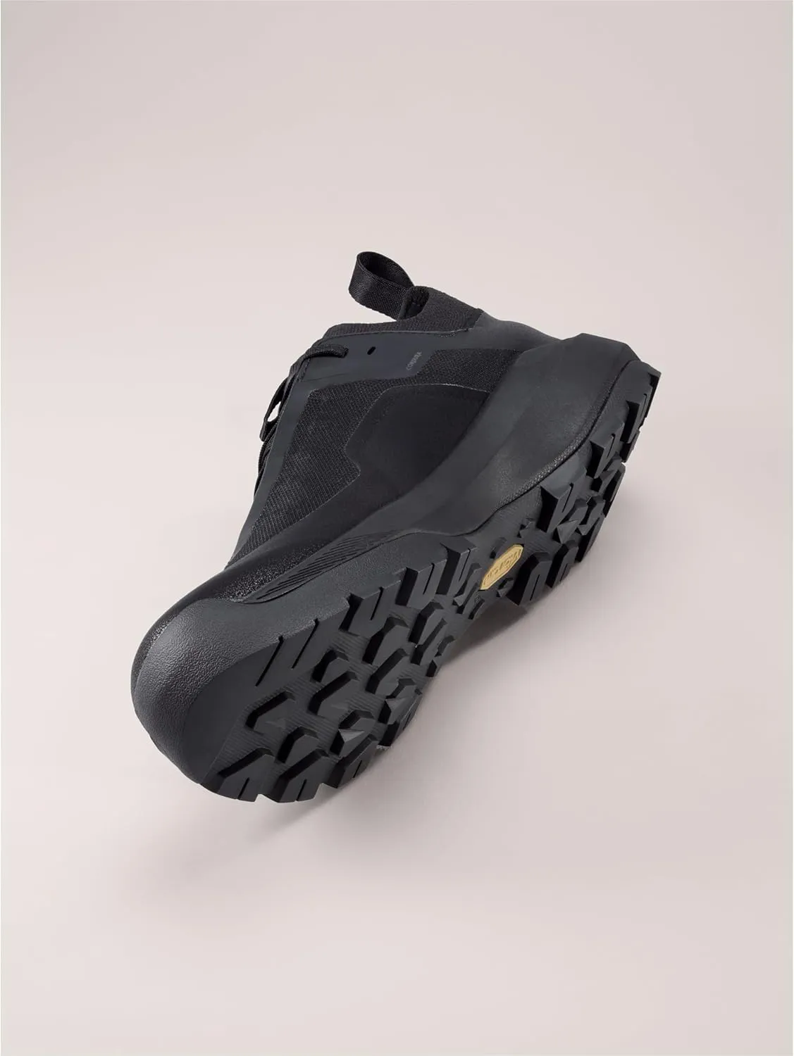 Arc'teryx Vertex Alpine GTX Shoe Men's | Fast and Light Gore-Tex Approach Shoe