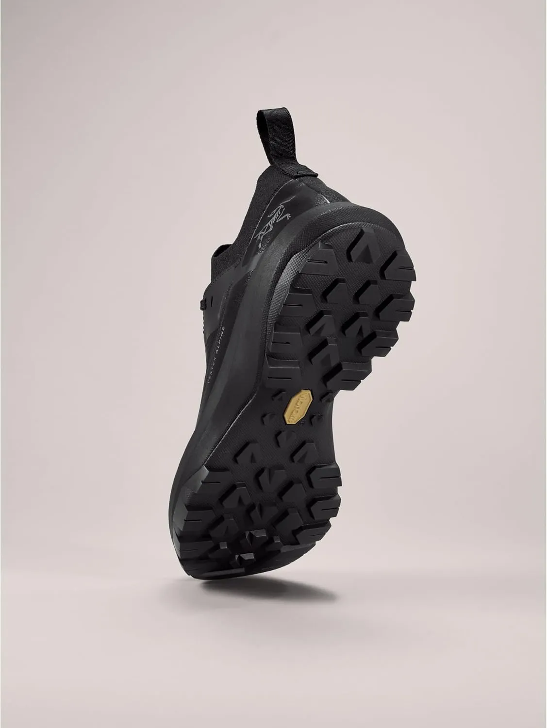 Arc'teryx Vertex Alpine GTX Shoe Men's | Fast and Light Gore-Tex Approach Shoe