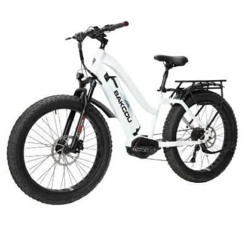 Bakcou Mule 24" Step-Thru (ST) 1000W Fat Tire Adventure Ebike