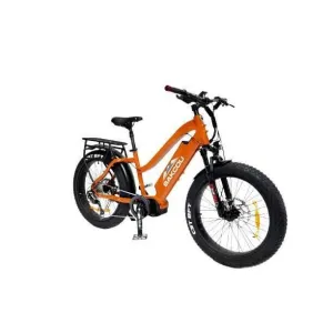 Bakcou Mule 24" Step-Thru (ST) 1000W Fat Tire Adventure Ebike