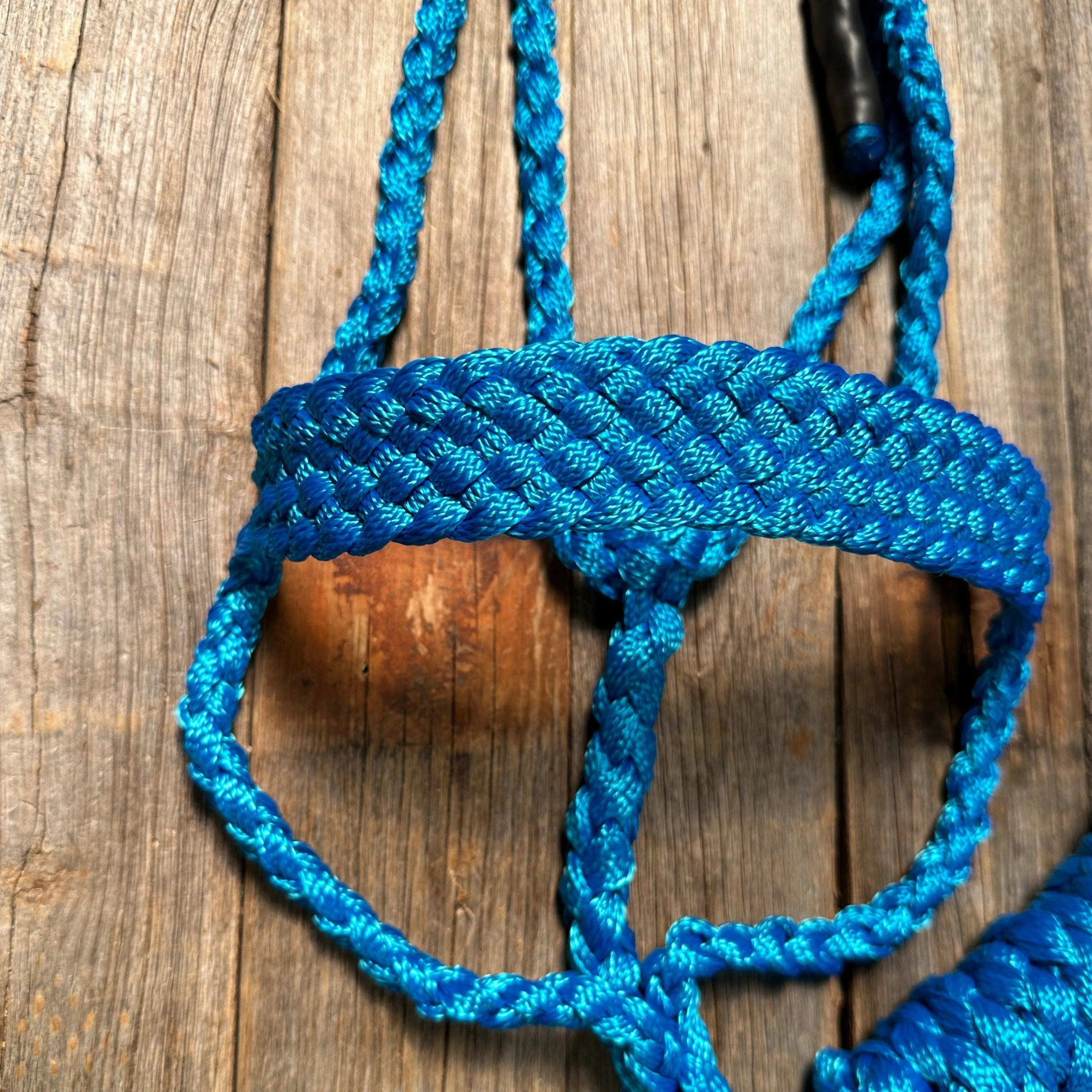 Blue Mule Tape Halter