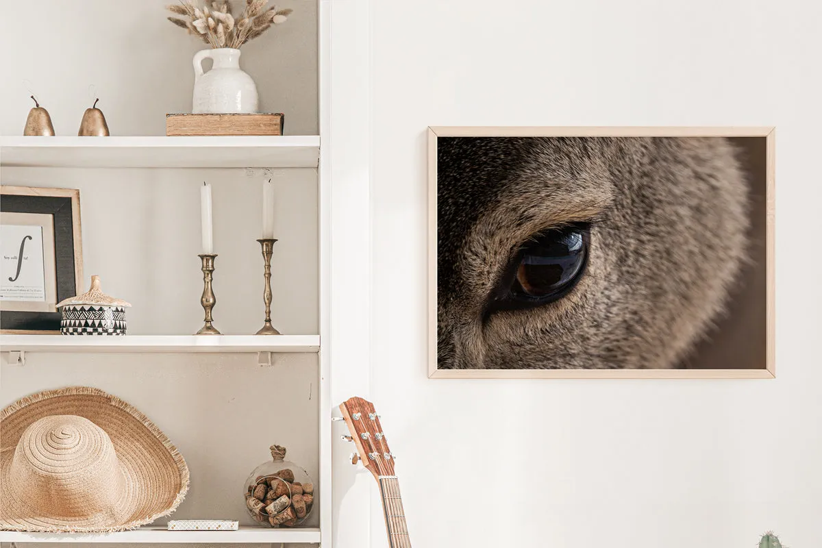 Close-Up Deer Wall Art: Capturing the Gentle Spirit of Wyoming