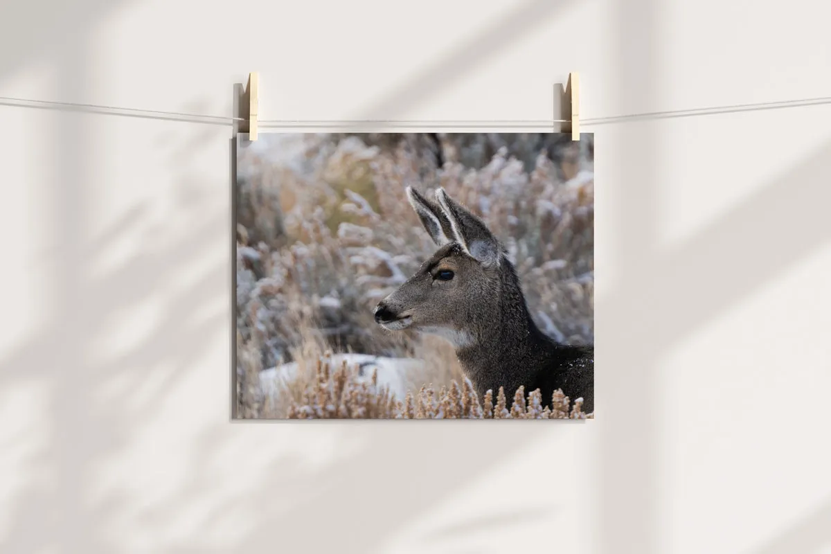 Deer Artwork: A Tender Moment Captured in Nature's Beauty