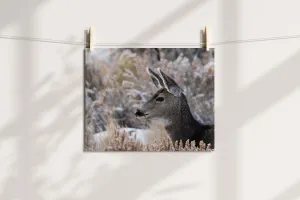 Deer Artwork: A Tender Moment Captured in Nature's Beauty