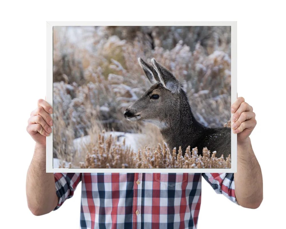 Deer Artwork: A Tender Moment Captured in Nature's Beauty