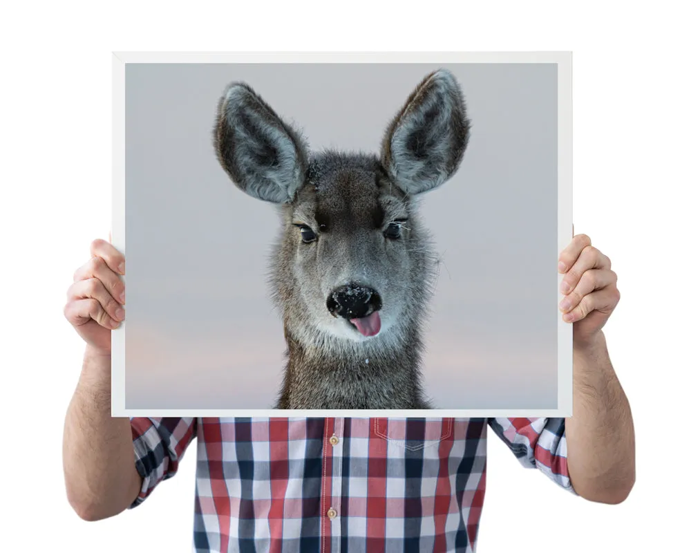 Deer Wall Art: Bringing the Gentle Spirit of Wyoming Into Your Home