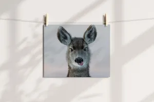 Deer Wall Art: Bringing the Gentle Spirit of Wyoming Into Your Home