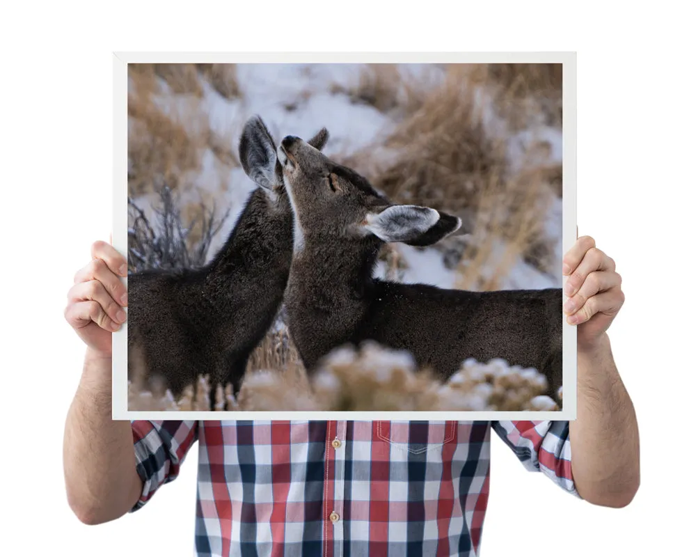 Deer Wall Art: Capturing the Tenderness of Wyoming's Wildlife