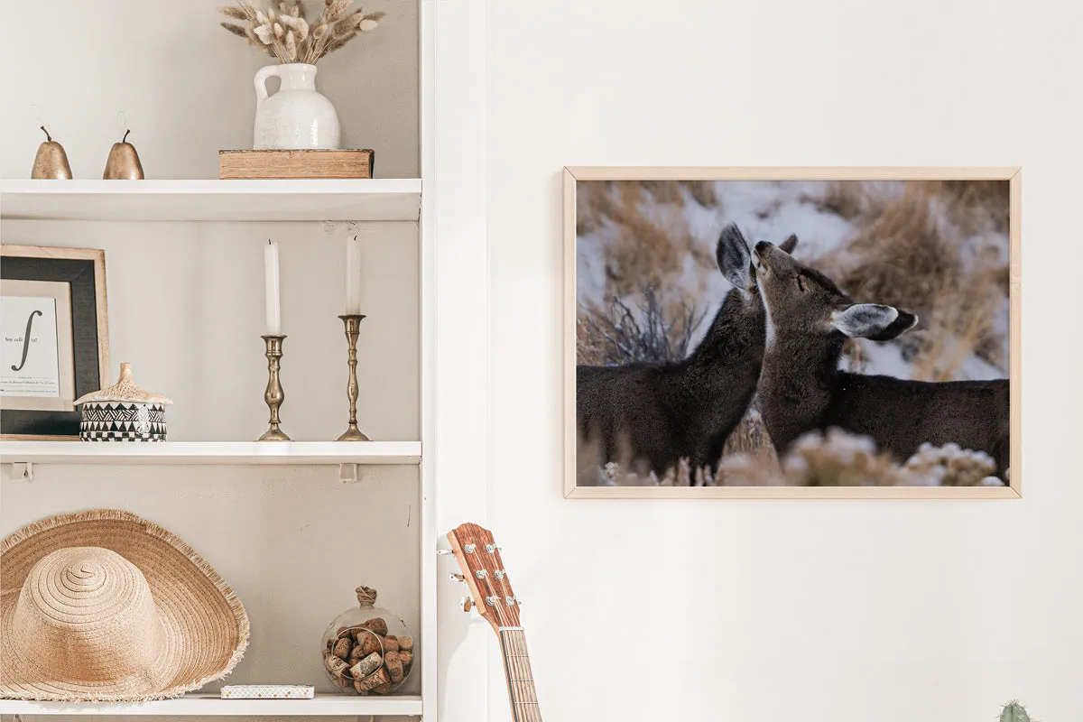 Deer Wall Art: Capturing the Tenderness of Wyoming's Wildlife