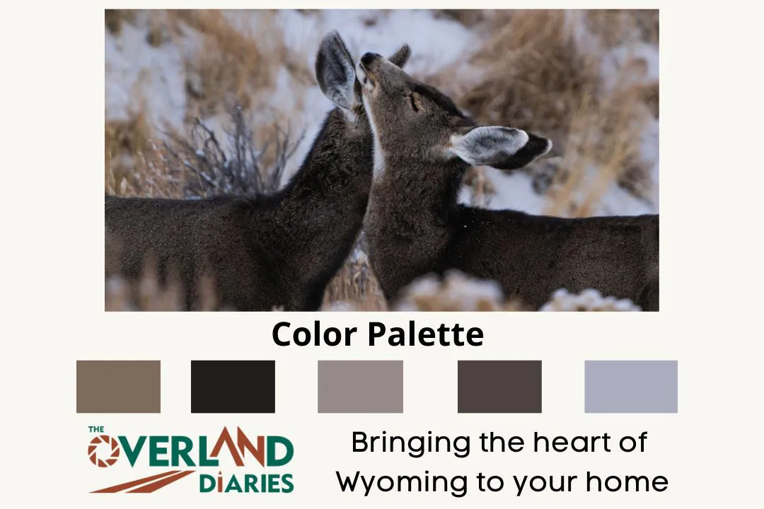 Deer Wall Art: Capturing the Tenderness of Wyoming's Wildlife