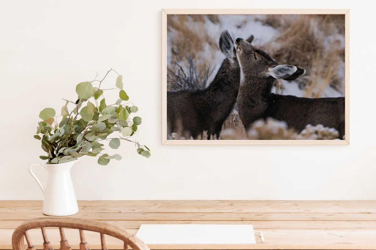 Deer Wall Art: Capturing the Tenderness of Wyoming's Wildlife