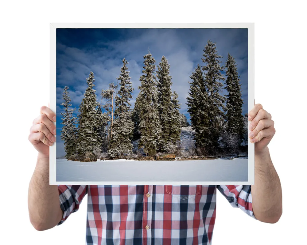 Frozen Lake Artwork: Capturing the Serenity of Half Moon Lake