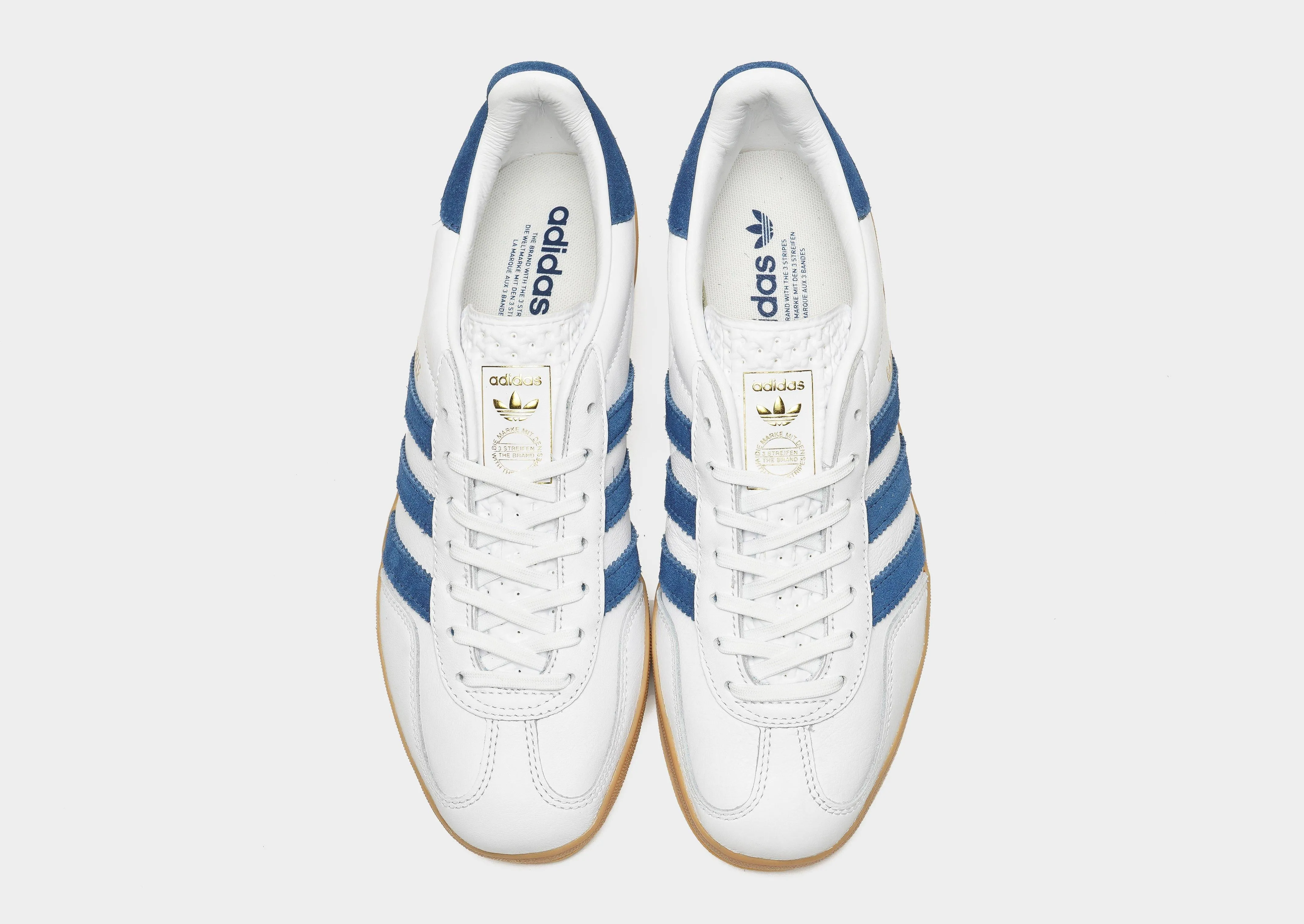 Gazelle Indoor