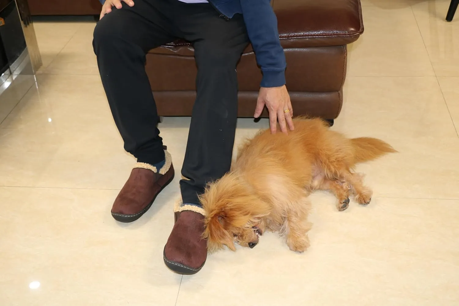 Men's Comfort Slippers,Memory Foam Loafer Shoes with Wool Blend Lining