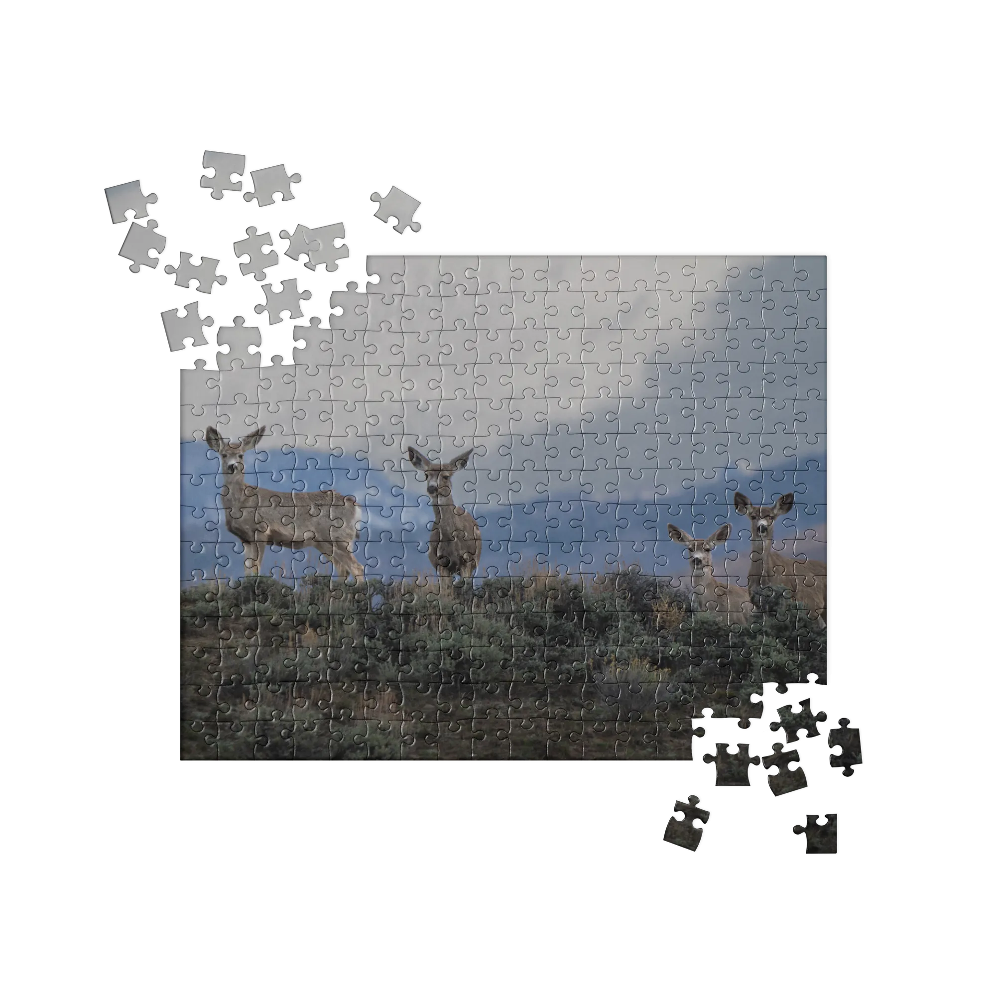 Mule Deer Jigsaw puzzle
