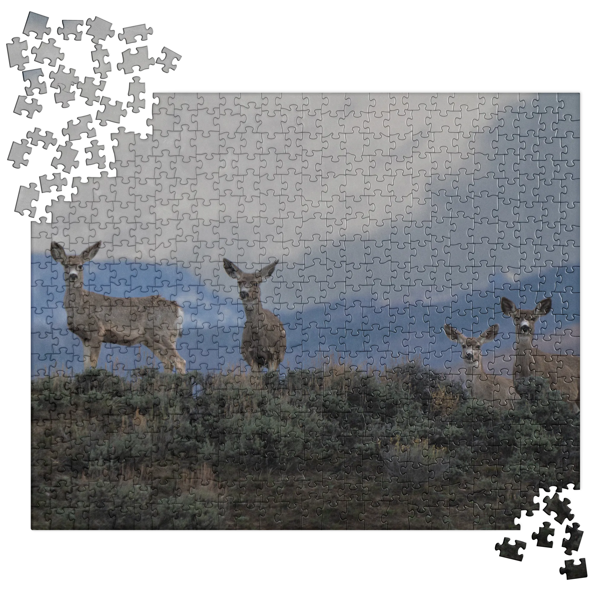 Mule Deer Jigsaw puzzle