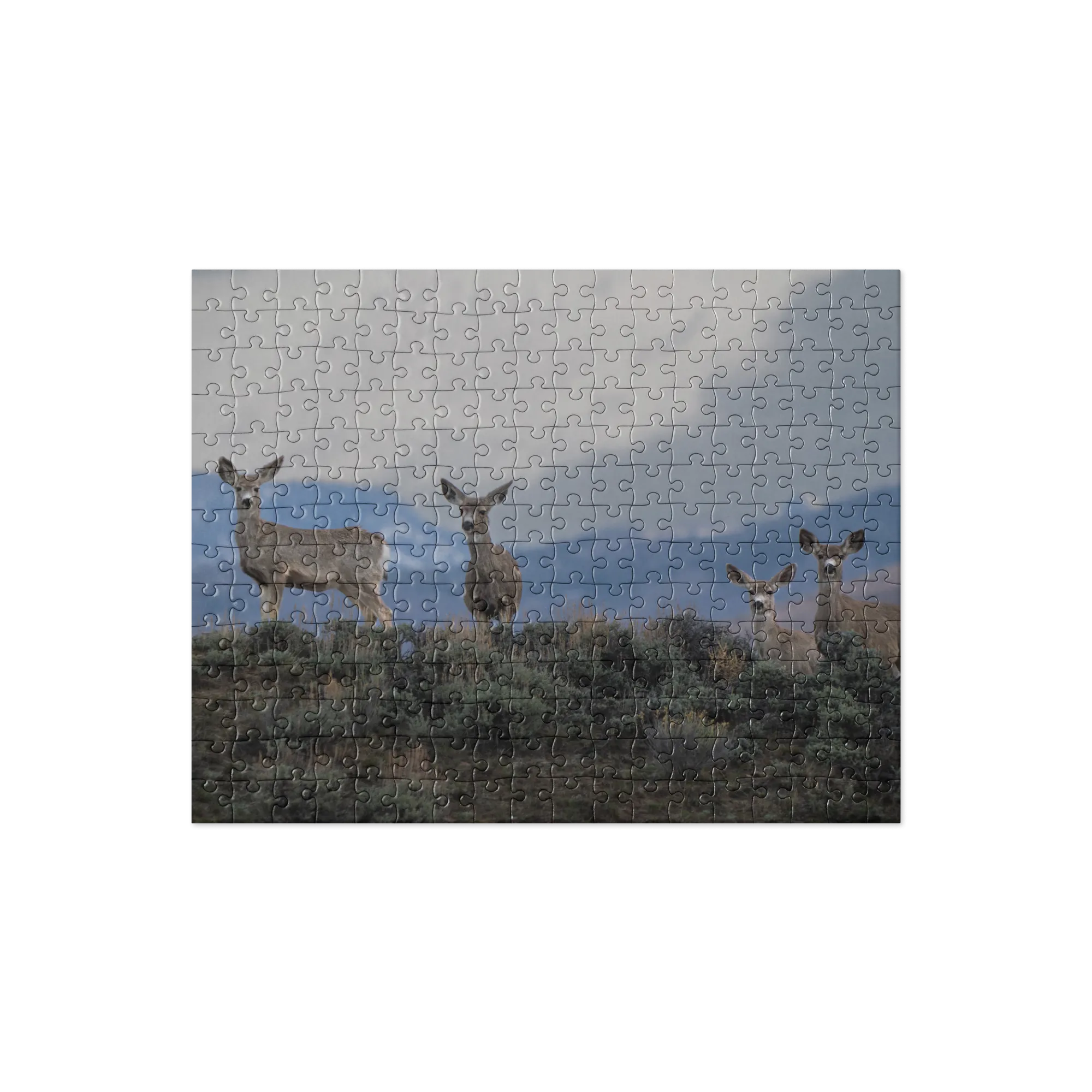 Mule Deer Jigsaw puzzle