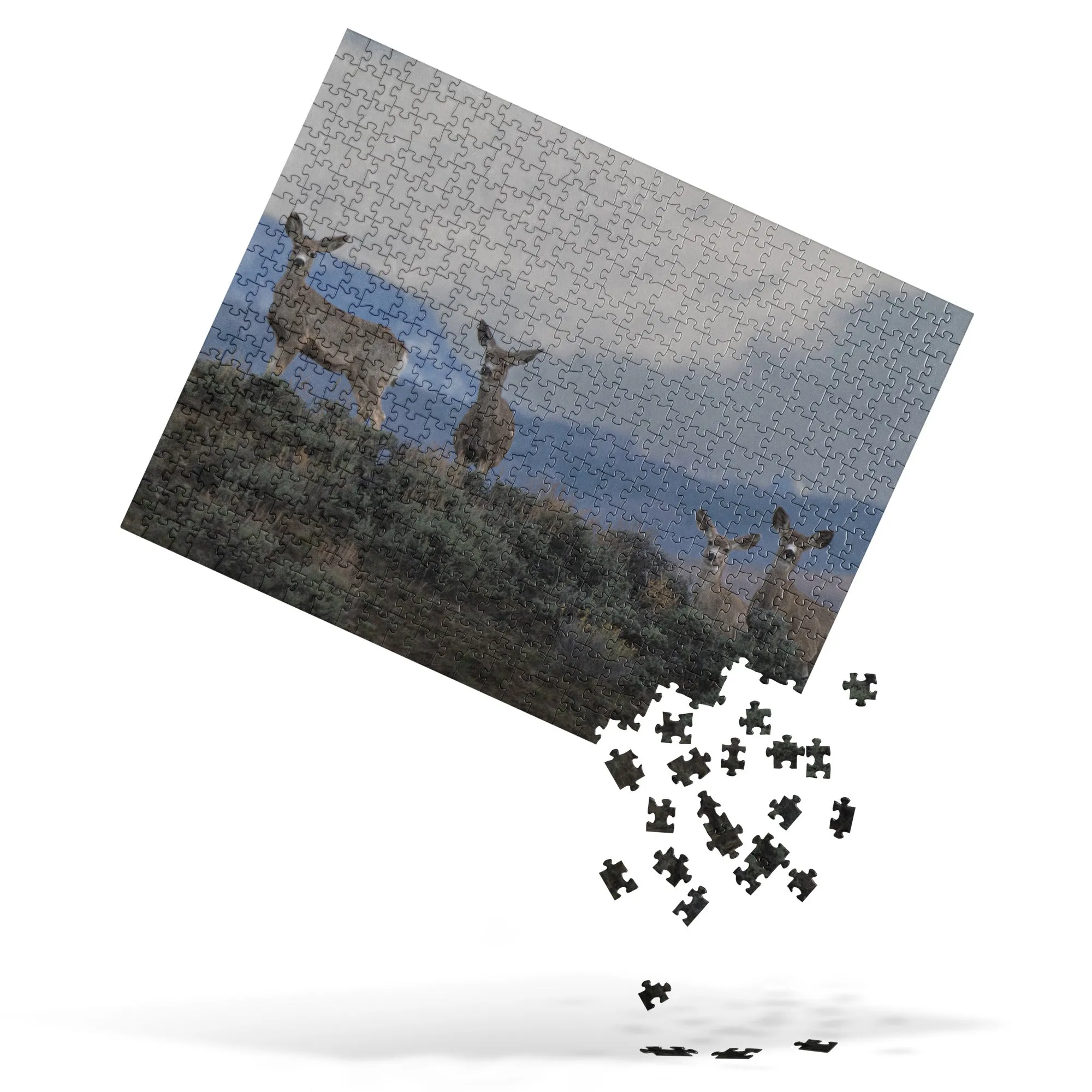 Mule Deer Jigsaw puzzle