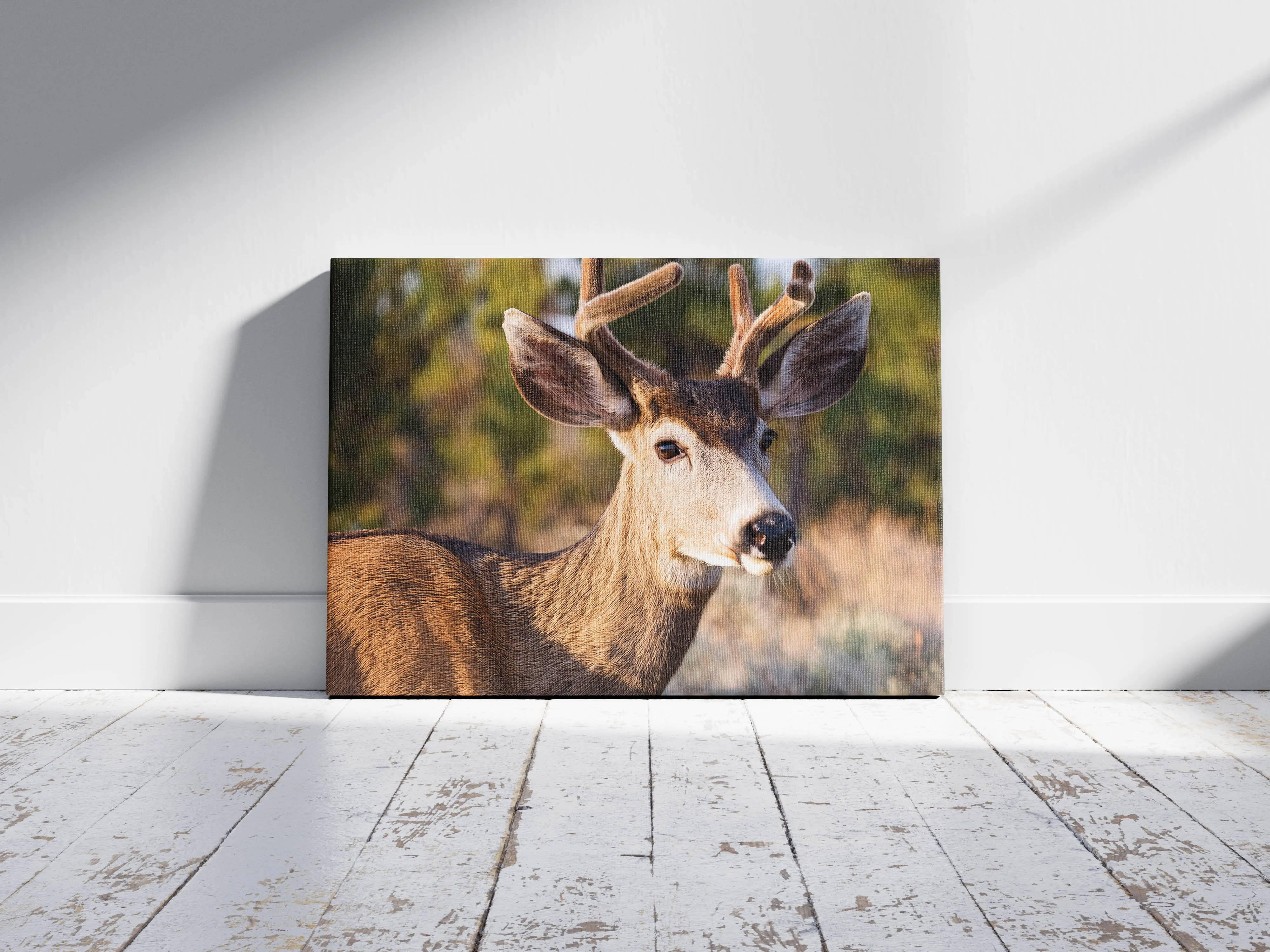 Peaceful Stag – Meadow Watcher: Mule Deer Art - Gentle Animal Portrait