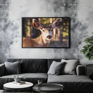 Soft Steps – Mule Deer Calm: Deer in Forest Decor - Peaceful Wildlife Art