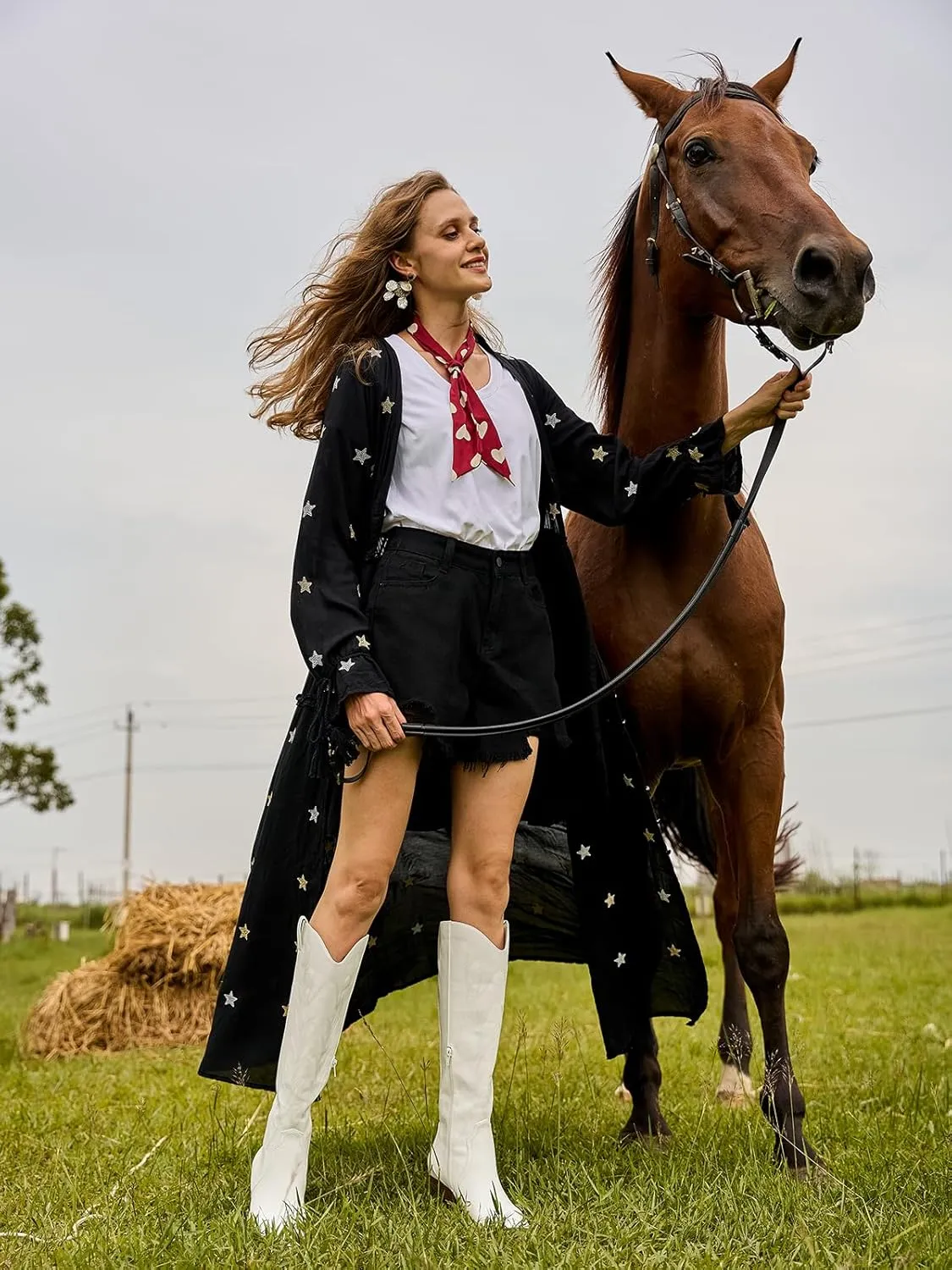 Susanny Knee High Cowboy Boots for Women Embroidered Western Cowgirl Boots for Womens Mid Calf Chunky Heel Pull on Stitching Zipper Pointed Toe Mid Low Heel Boots
