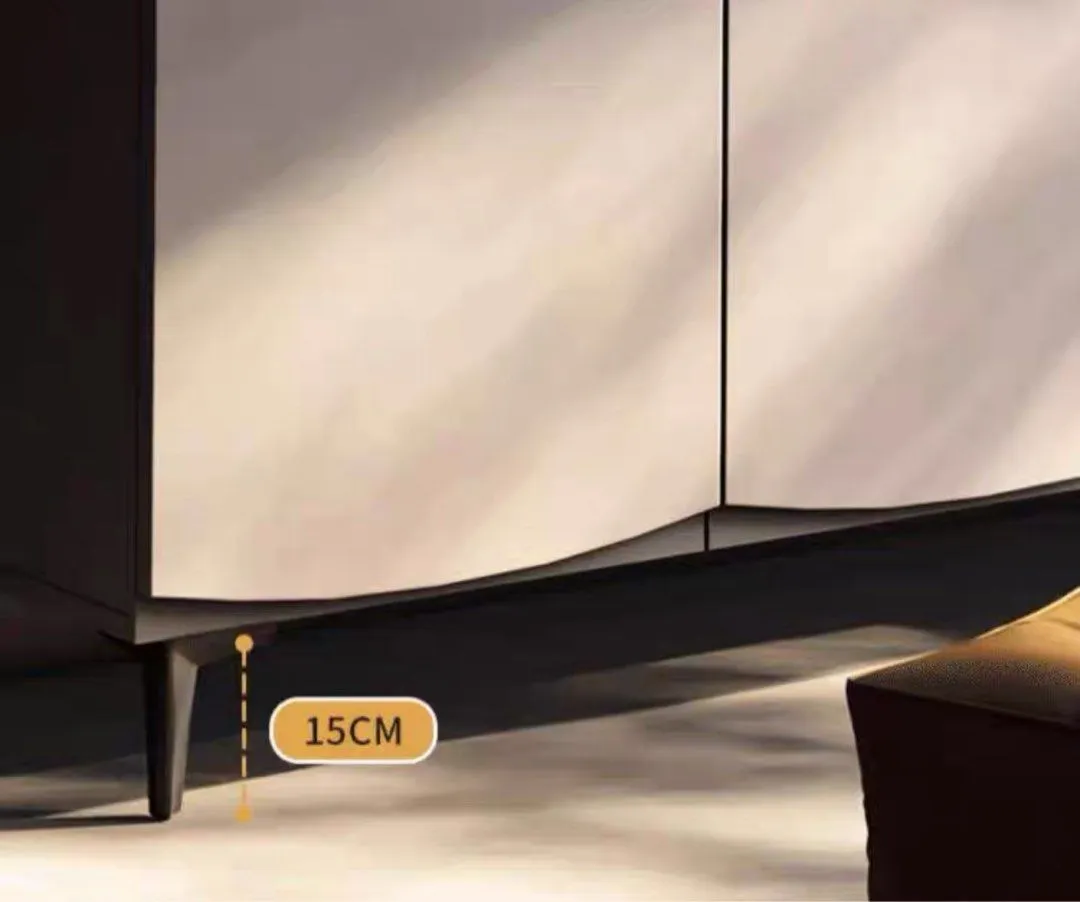 SWIFT Modern Shoe Cabinet