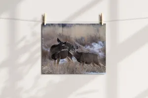 Tender Moments Captured: Deer Wall Art for Your Home