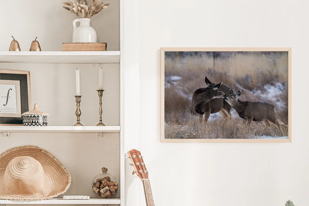 Tender Moments Captured: Deer Wall Art for Your Home