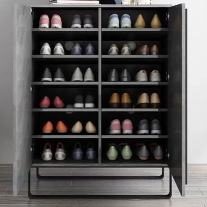 TOLIVER Modern Shoe Cabinet